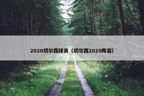 2020切尔西球员（切尔西2020阵容）