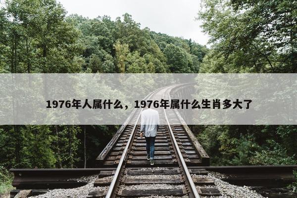 1976年人属什么，1976年属什么生肖多大了