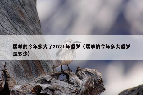 属羊的今年多大了2021年虚岁（属羊的今年多大虚岁是多少）