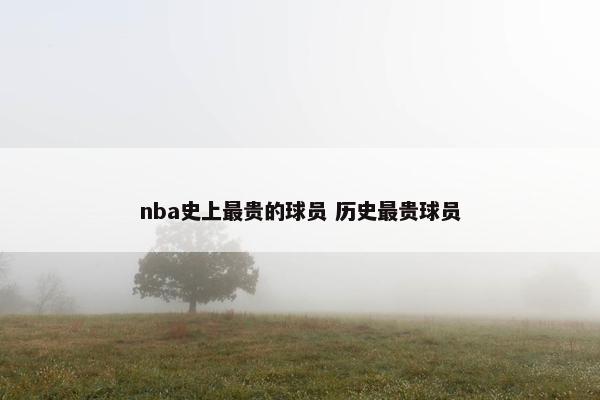 nba史上最贵的球员 历史最贵球员