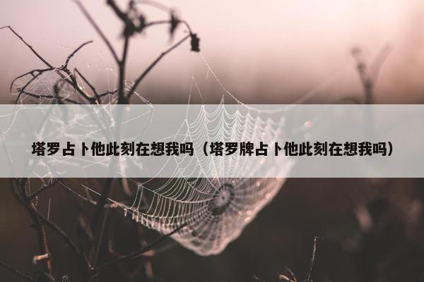 塔罗占卜他此刻在想我吗（塔罗牌占卜他此刻在想我吗）