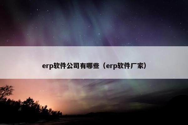 erp软件公司有哪些（erp软件厂家）