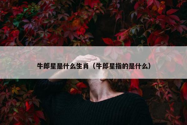 牛郎星是什么生肖（牛郎星指的是什么）