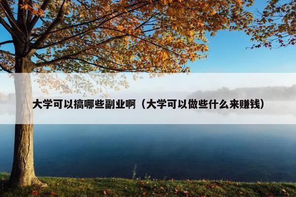 大学可以搞哪些副业啊（大学可以做些什么来赚钱）