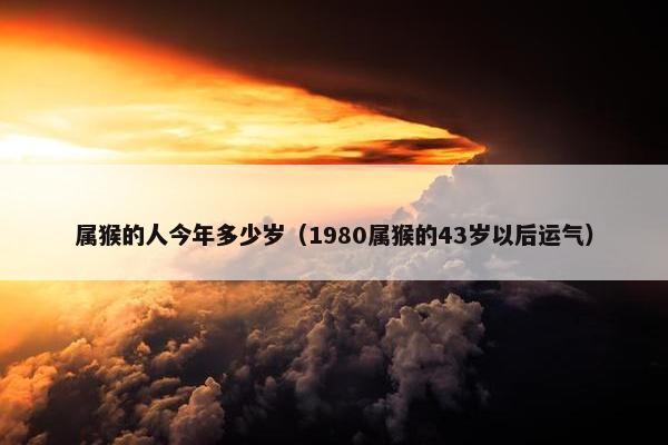 属猴的人今年多少岁（1980属猴的43岁以后运气）