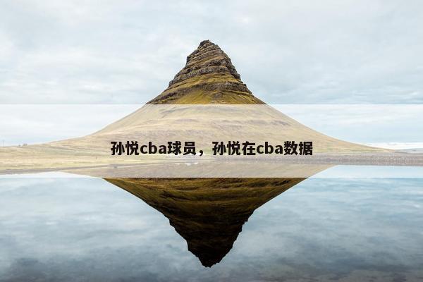 孙悦cba球员，孙悦在cba数据