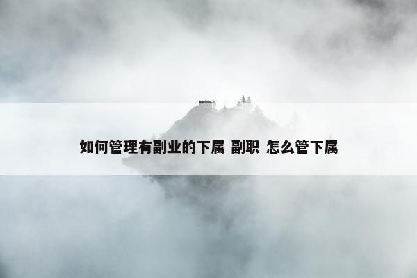 如何管理有副业的下属 副职 怎么管下属