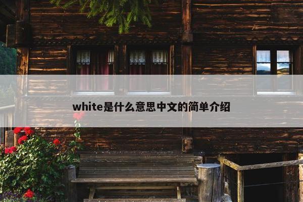 white是什么意思中文的简单介绍