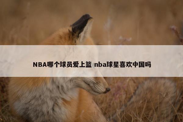 NBA哪个球员爱上篮 nba球星喜欢中国吗