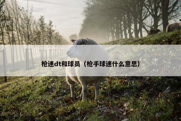 枪迷dt和球员（枪手球迷什么意思）