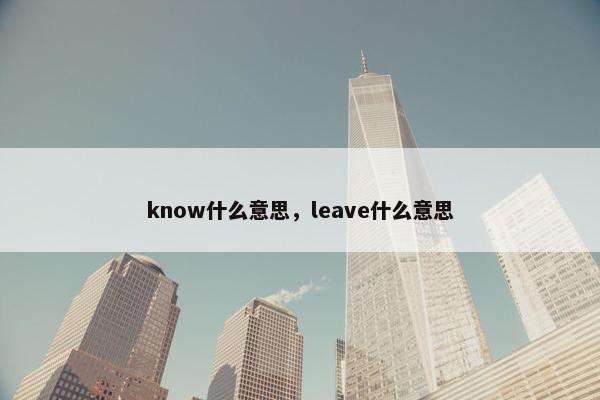 know什么意思，leave什么意思