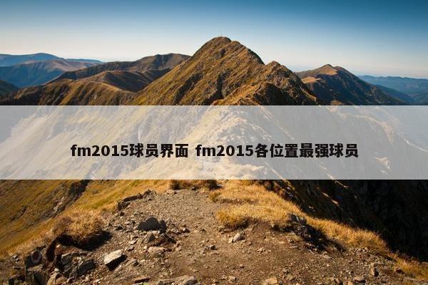 fm2015球员界面 fm2015各位置最强球员