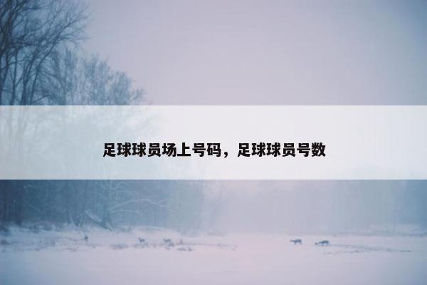 足球球员场上号码，足球球员号数