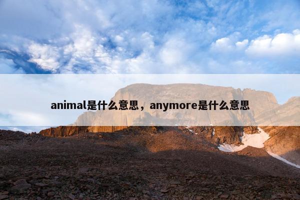 animal是什么意思，anymore是什么意思