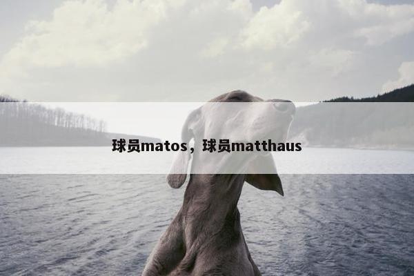 球员matos，球员matthaus