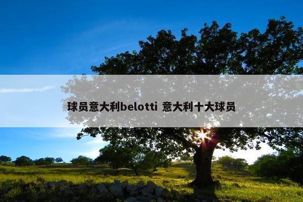 球员意大利belotti 意大利十大球员