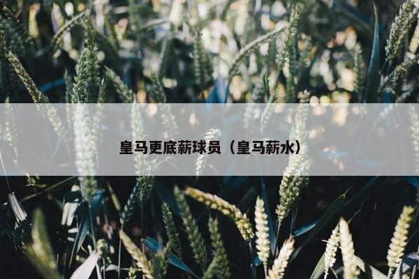 皇马更底薪球员（皇马薪水）