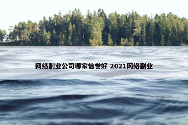 网络副业公司哪家信誉好 2021网络副业