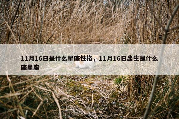 11月16日是什么星座性格，11月16日出生是什么座星座