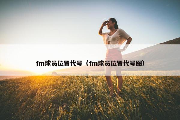 fm球员位置代号（fm球员位置代号图）