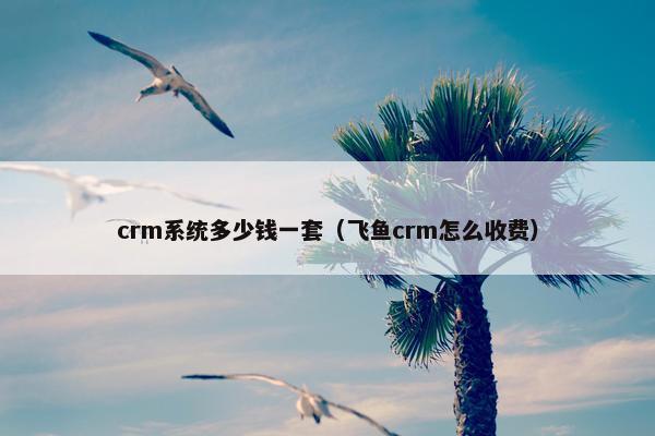 crm系统多少钱一套（飞鱼crm怎么收费）