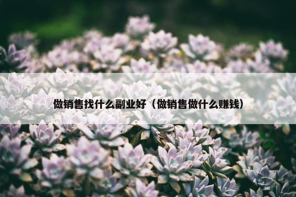 做销售找什么副业好（做销售做什么赚钱）