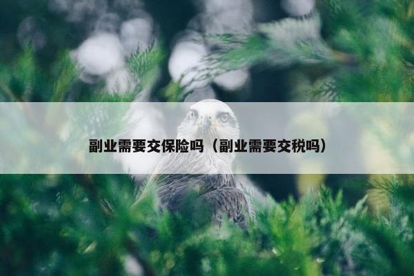 副业需要交保险吗（副业需要交税吗）