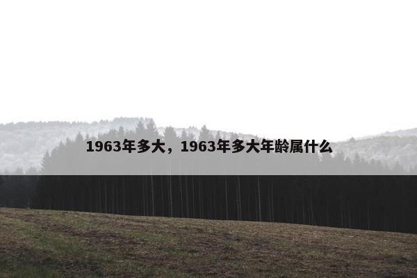 1963年多大，1963年多大年龄属什么