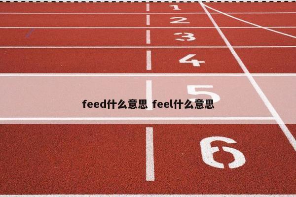 feed什么意思 feel什么意思