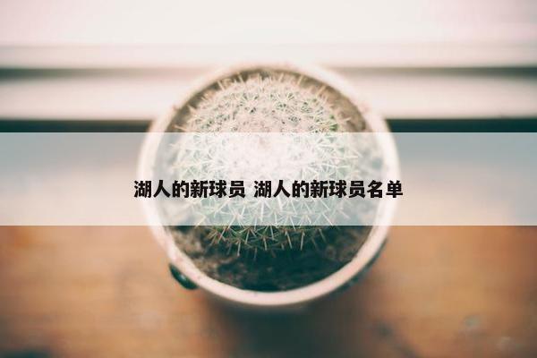 湖人的新球员 湖人的新球员名单