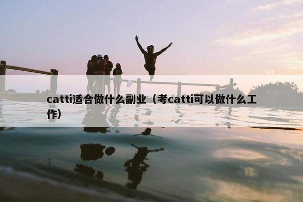 catti适合做什么副业（考catti可以做什么工作）