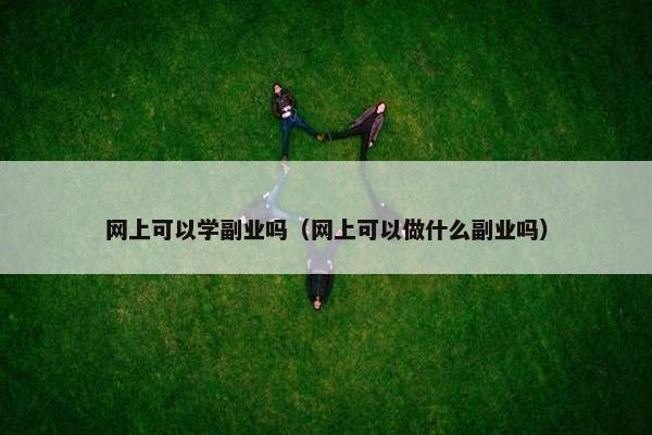 网上可以学副业吗（网上可以做什么副业吗）