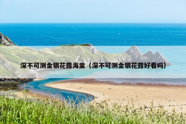 深不可测金银花露海棠（深不可测金银花露好看吗）