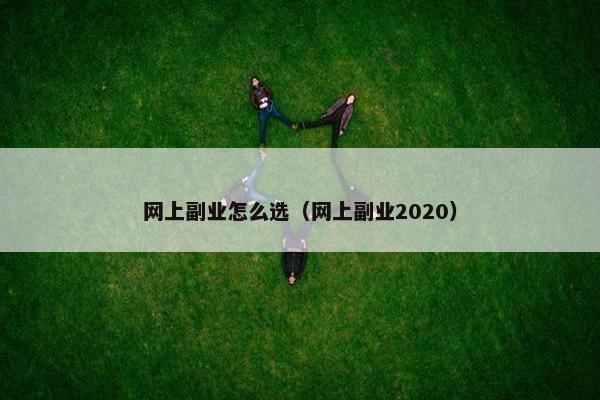 网上副业怎么选（网上副业2020）