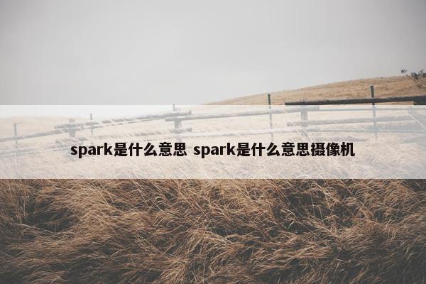 spark是什么意思 spark是什么意思摄像机