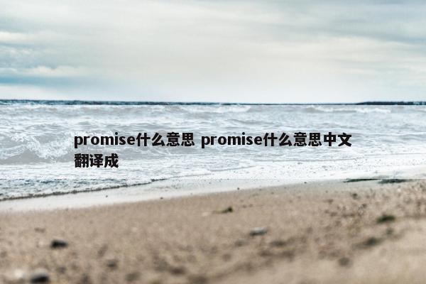 promise什么意思 promise什么意思中文翻译成