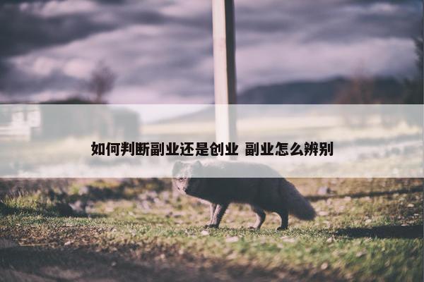 如何判断副业还是创业 副业怎么辨别