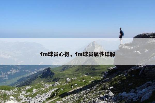 fm球员心得，fm球员属性详解