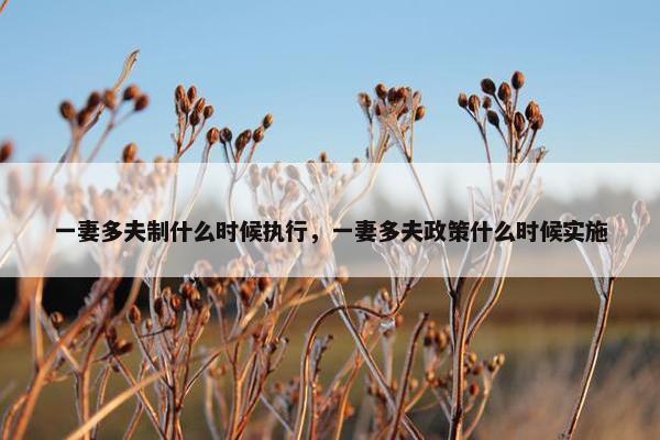 一妻多夫制什么时候执行，一妻多夫政策什么时候实施