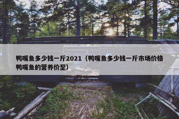 鸭嘴鱼多少钱一斤2021（鸭嘴鱼多少钱一斤市场价格鸭嘴鱼的营养价至）