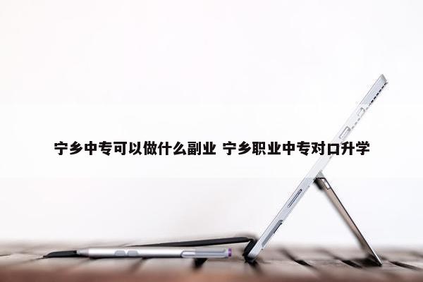 宁乡中专可以做什么副业 宁乡职业中专对口升学