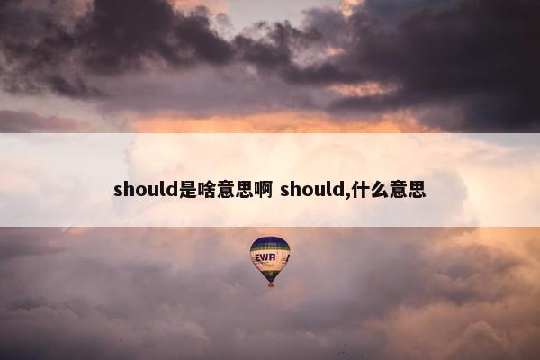 should是啥意思啊 should,什么意思