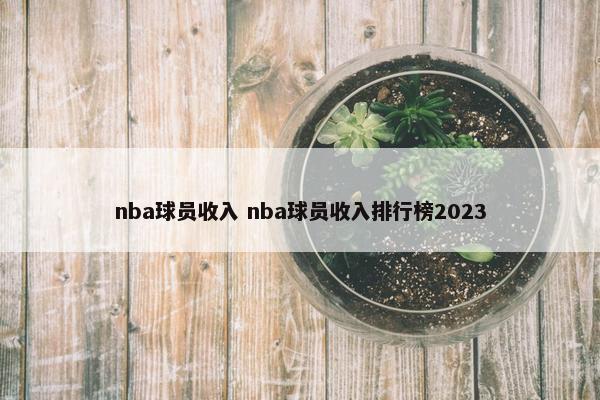 nba球员收入 nba球员收入排行榜2023