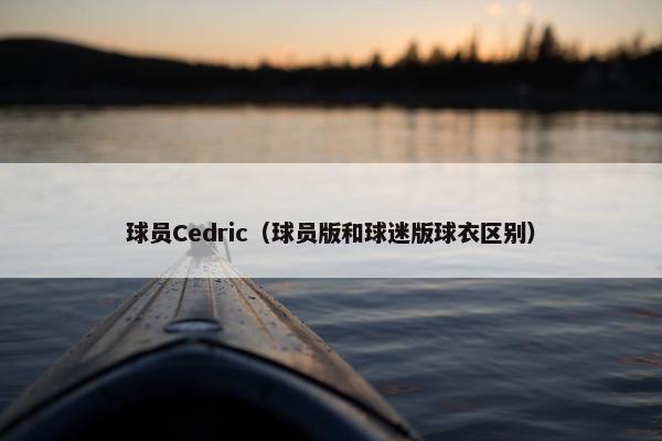 球员Cedric（球员版和球迷版球衣区别）