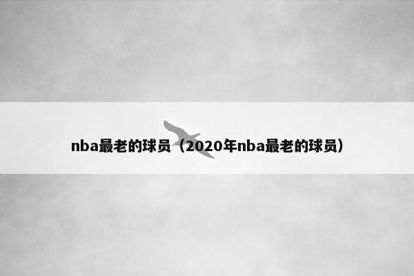 nba最老的球员（2020年nba最老的球员）