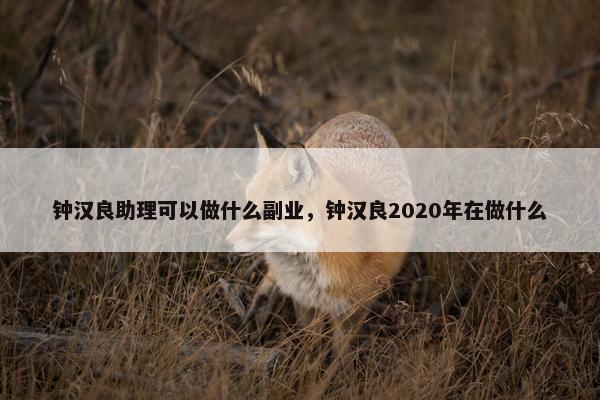 钟汉良助理可以做什么副业，钟汉良2020年在做什么