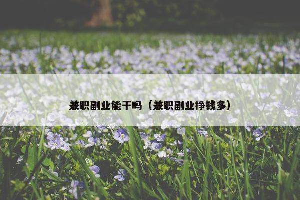 兼职副业能干吗（兼职副业挣钱多）