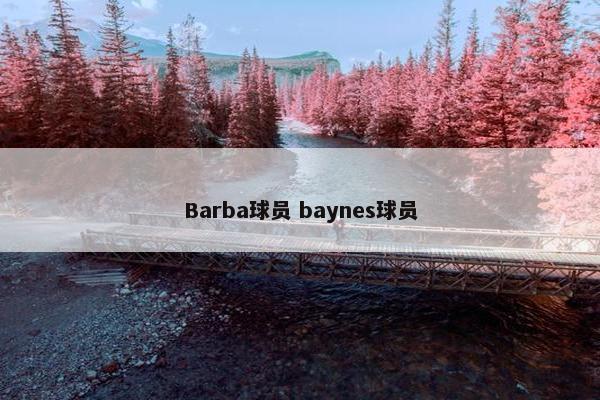 Barba球员 baynes球员