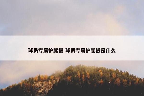 球员专属护腿板 球员专属护腿板是什么