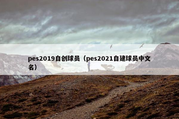 pes2019自创球员（pes2021自建球员中文名）